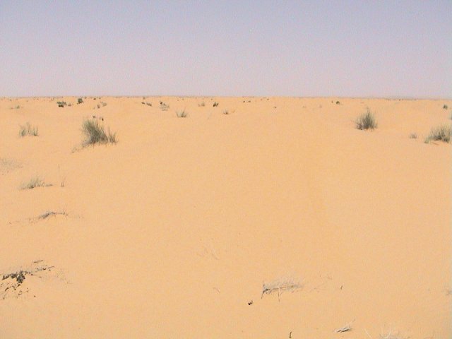 View to the North...