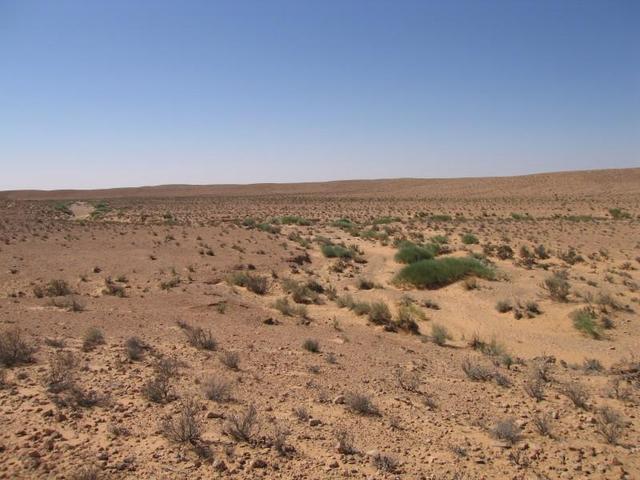 View from CP to the West