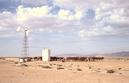 #5: Wind-powered pump station (approx. 3 km from CP).