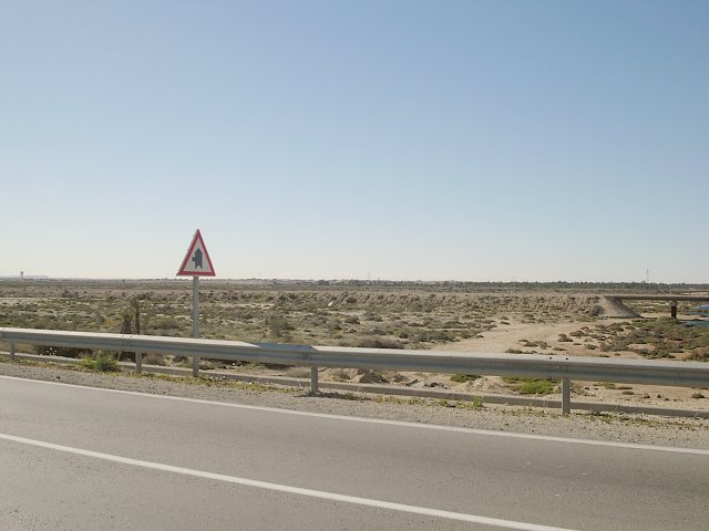 South view