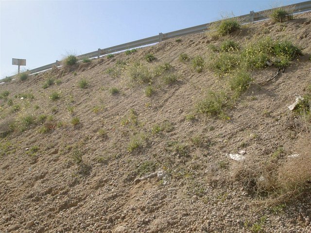 Close-up of the Confluence