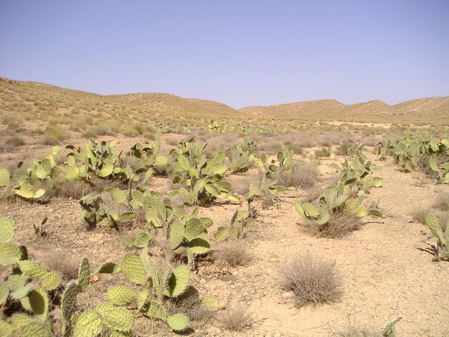 View at the Confluence and to the North