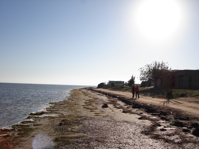 View of coast looking in southwesterly direction