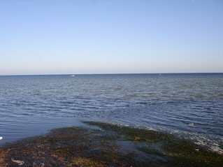 #1: Looking directly in the direction of the Confluence, 1.22 km offshore