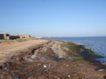 #2: View of coast looking in northeasterly direction