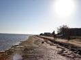 #3: View of coast looking in southwesterly direction