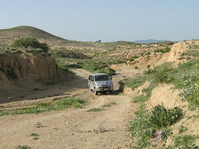 Crossing a creek