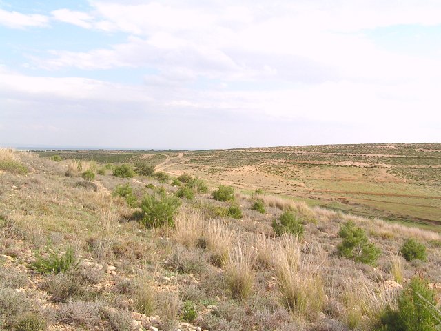 View towards the S of the Confluence