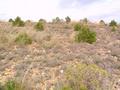 #3: View towards the E of the Confluence