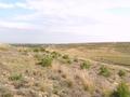 #4: View towards the S of the Confluence