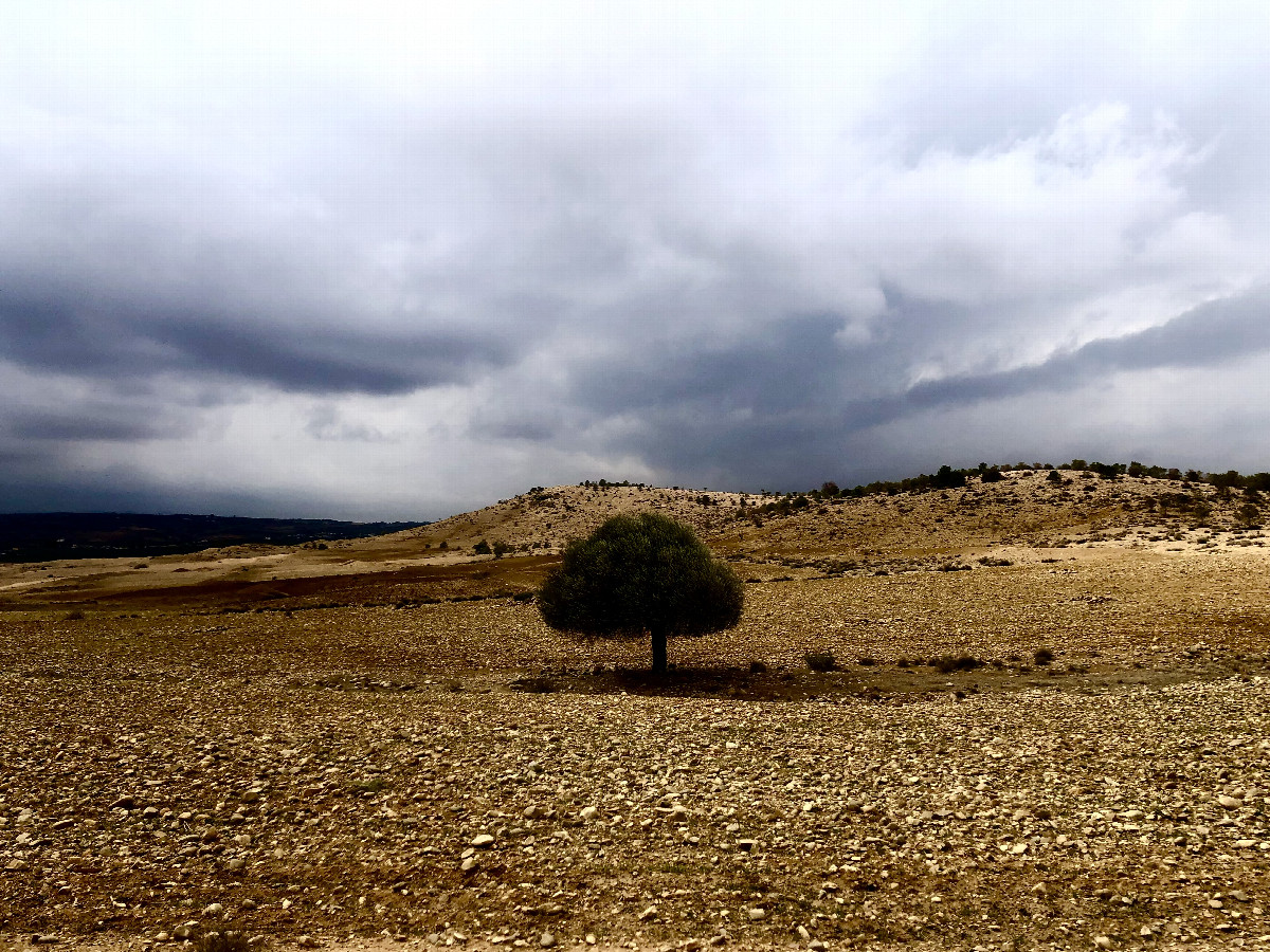 General view from 500m Distance