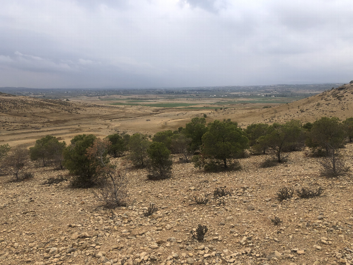 The Confluence from 20 m Distance