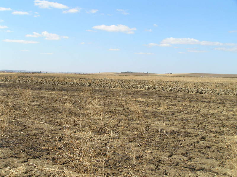 View to the Southwest from the Confluence.