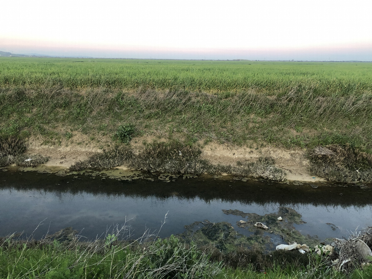 The Confluence from 80 m Distance