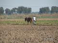 #7: Winter plowing near the Confluence