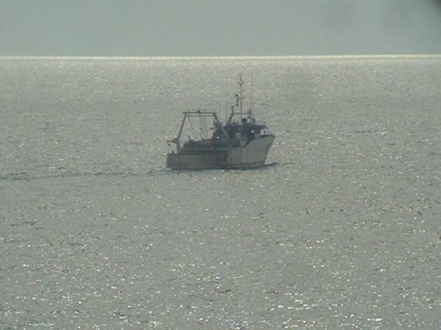 A Tunisian trawler working on the banks around Île de la Galite