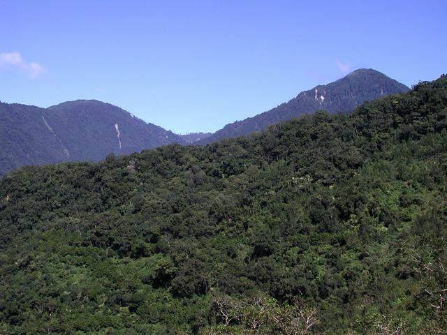 Dense forest and steep mountain - typical scenery
