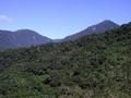 #2: Dense forest and steep mountain - typical scenery