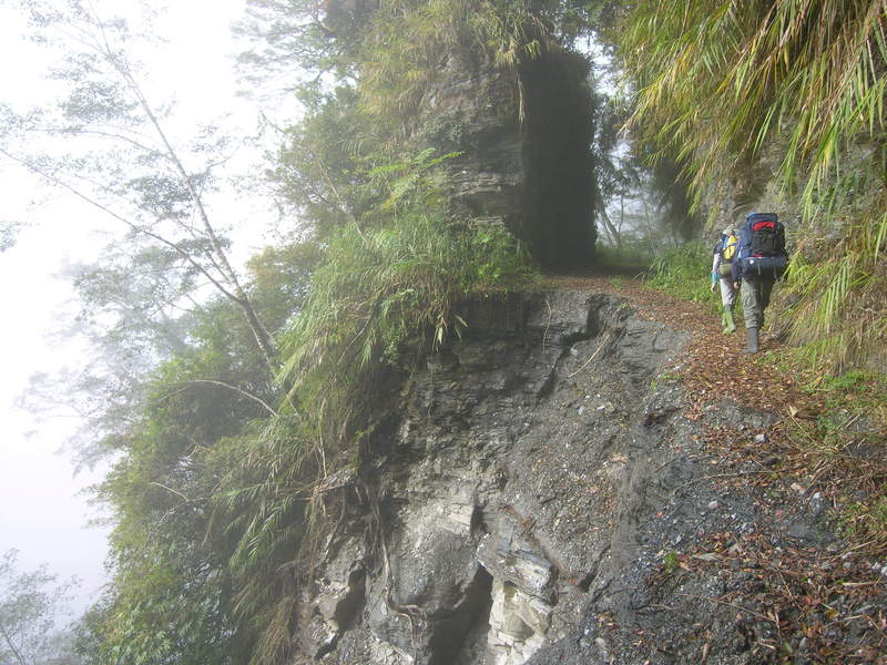 collapsed forest road