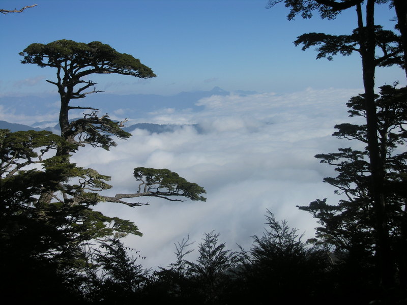 Overlook Sinkang Mountain (like a volcano, 3335M)