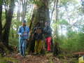 #10: Tamai, Koi, and Baki (from left to right) at confluence