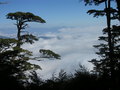 #9: Overlook Sinkang Mountain (like a volcano, 3335M)