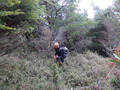 #7: Hiking trough the thickets