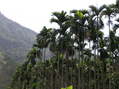 #7: Steep terrain toward the confluence.