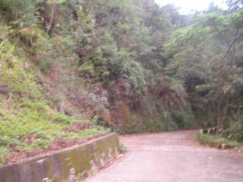 Looking uphill, to the northwest, toward the confluence.