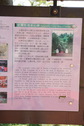 #6: Newer version of the description of the Geo Center of Taiwan
