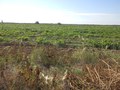 #4: View to the South