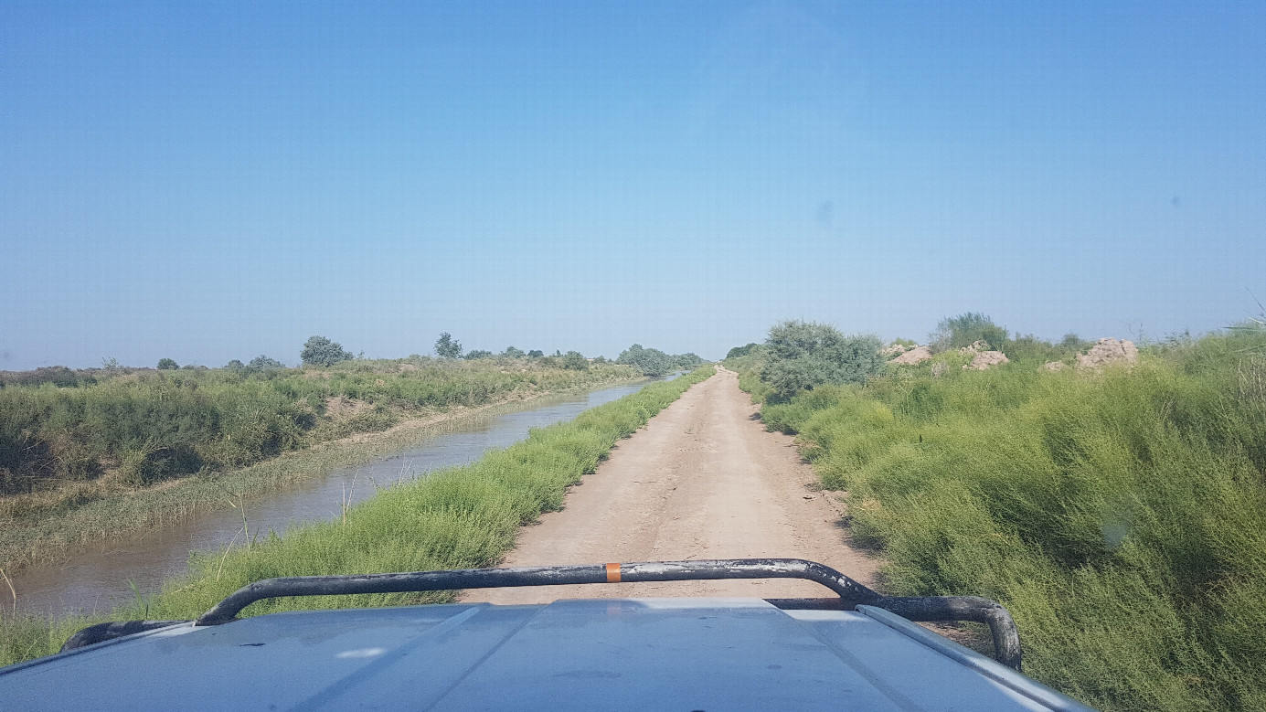 approaching confluence point along irrigation channel