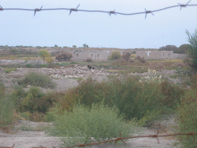 Looking towards the Confluence from 2.5km East