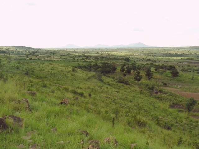 The view looking north into the agricultural land of the Wasukuma tribe.