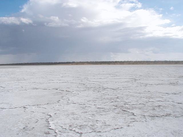 Looking South to the Confluence about 30 meters away