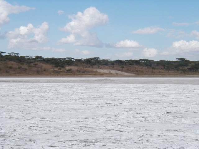 Looking NE from the confluence point back towards the "shoreline" where we started our walk