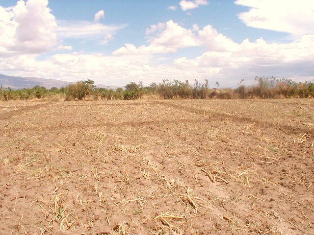 Looking East from 3S 36E