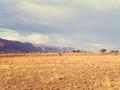 #12: Looking North along the Escarpment with a Maasai village in the foreground