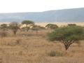 #9: Engaruka basin