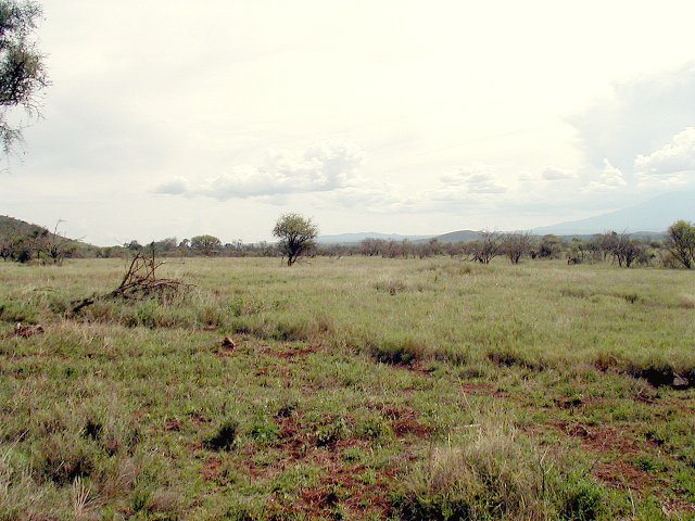 Looking South from the CP