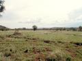 #3: Looking South from the CP