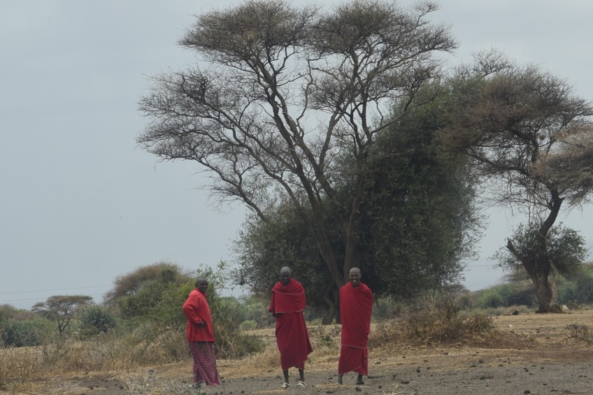The Masai Country