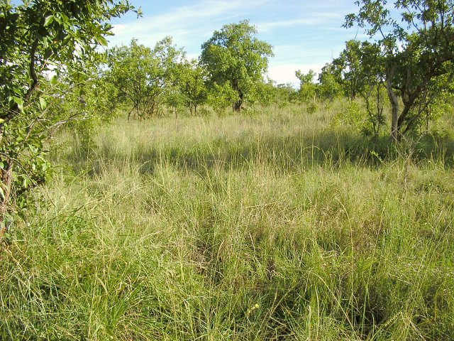 Overview of the confluence area