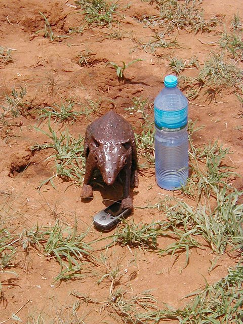 Pimbi the Mascot says: "Remember to hydrate thyself!"