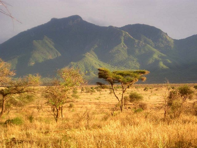 Savannah meets Pare Mountains