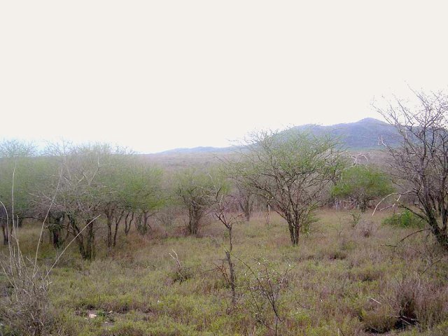 4S 38E Confluence Site