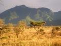 #10: Savannah meets Pare Mountains