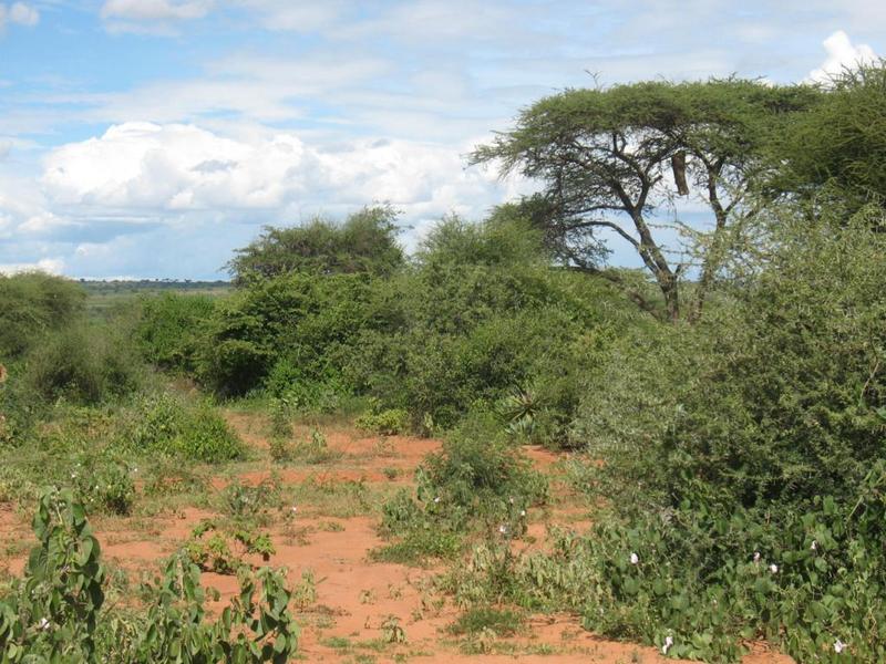 General view in direction of the Confluence