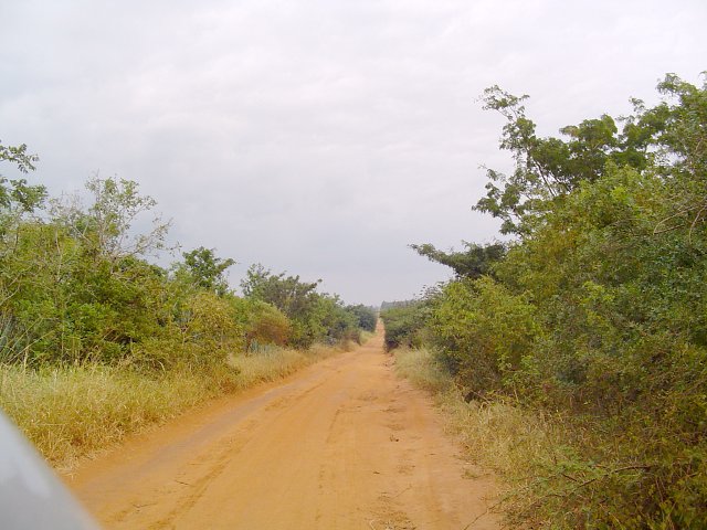 Taking a gravel road from Mombo straight towards the Confluence