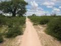 #4: Road leading towards the Confluence